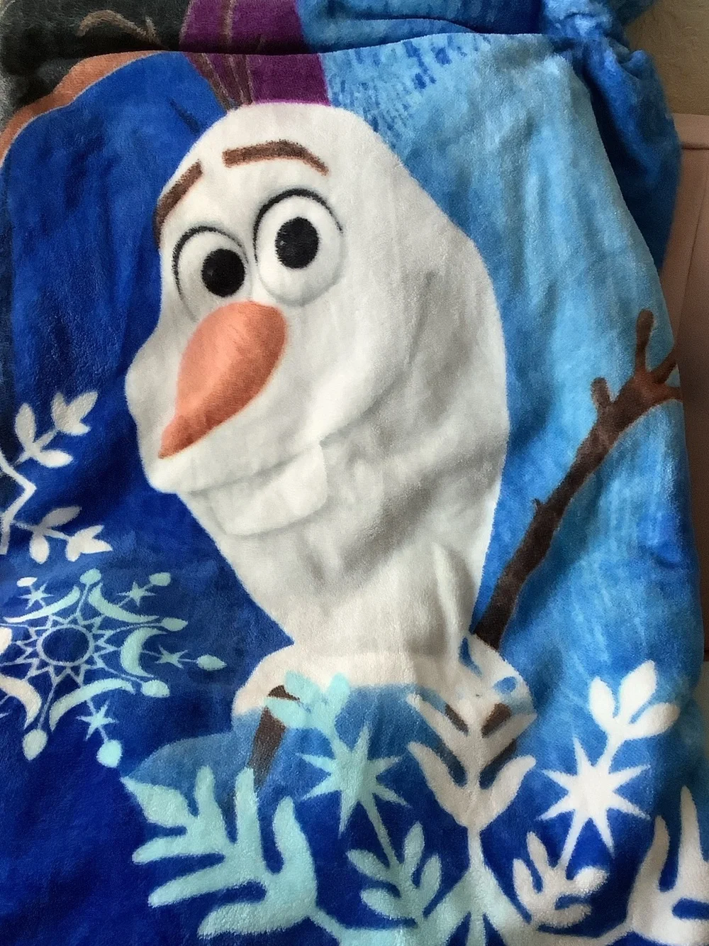 Disney Frozen Anna and Elsa Blue Pink Throw Blanket